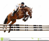 Free Horseback Riding Clipart Image
