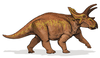 Anchiceratops Image