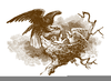 Eagle Nest Clipart Image