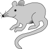 Mouse Clip Art