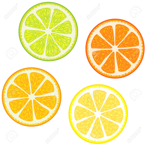 Orange And Grapefruit Clipart Image