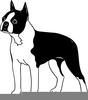 Bull Terrier Clipart Free Image