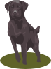 Black Lab Clip Art