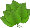 Leaves Clip Art