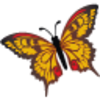 Butterfly Icon Image