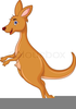 Free Animated Kangaroo Clipart Image