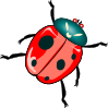 Lady Bug Clip Art