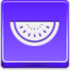 Watermelon Piece Icon Image