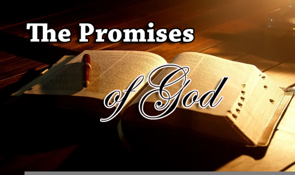 Gods Promise | Free Images at Clker.com - vector clip art online ...