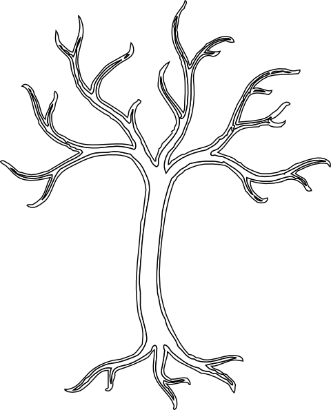 Dead Oak Tree Sketch
