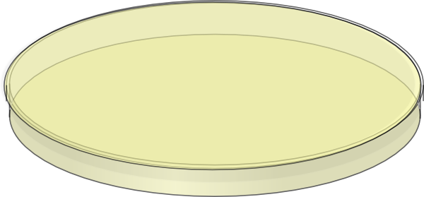 Yellow Petri Dish Clip Art at Clker.com - vector clip art online