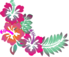 Hibiscus Corner Clip Art