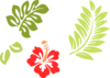 Hibiscus  Clip Art