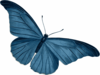 Blue Butterfly Clip Art